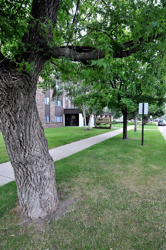 Woodland Court Apartments, 300 Court Avenue, Park Rapids, MN RentCafe